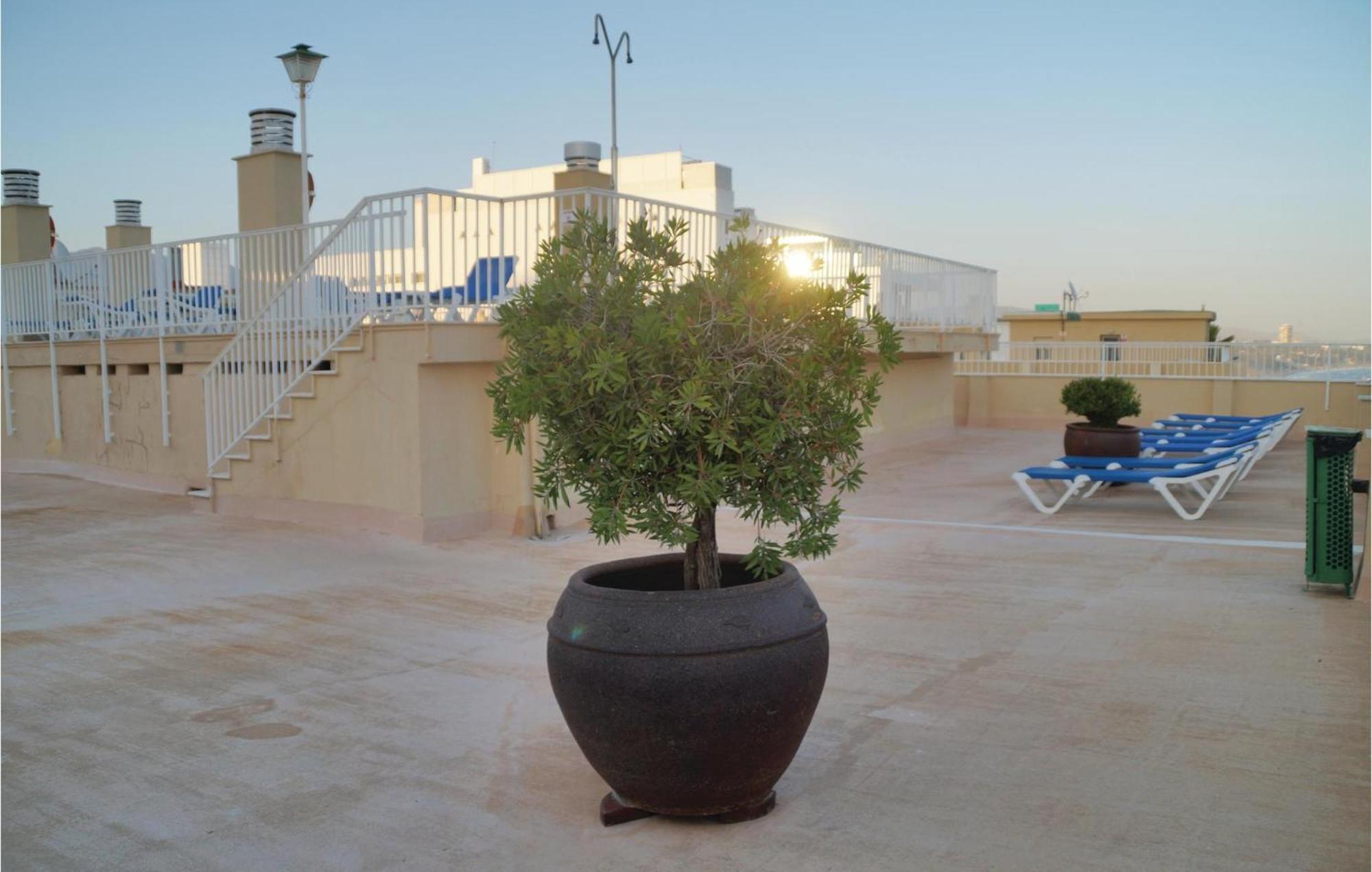 Apartment 3 Bedroom Lovely In Marbella